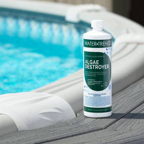 1 Quart Of Non Foaming WATER TRENDS Black Algae Destroyer 60% - WaterTrendsStore - 539