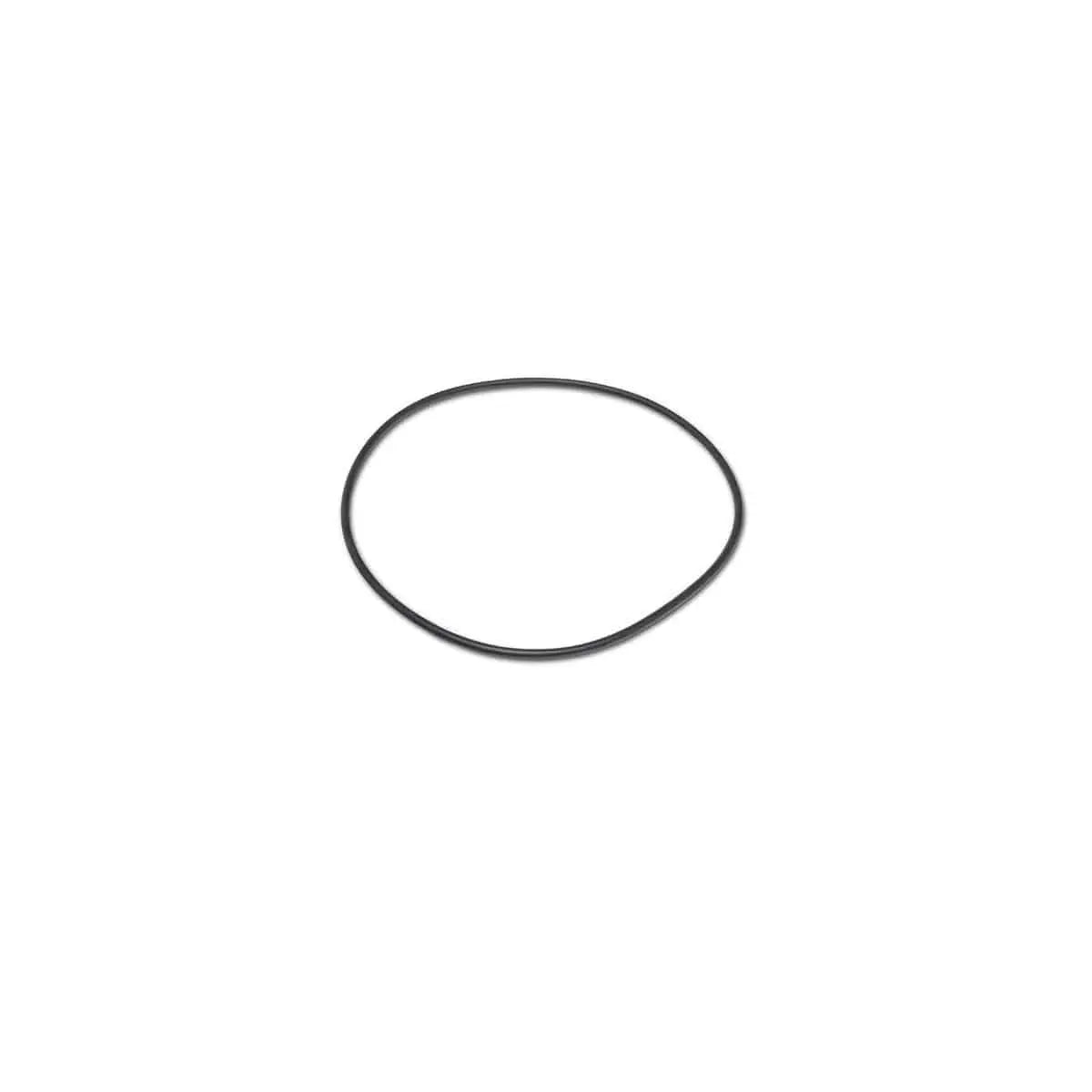 Matrix Pump Cover O - Ring - WaterTrendsStore - 9686