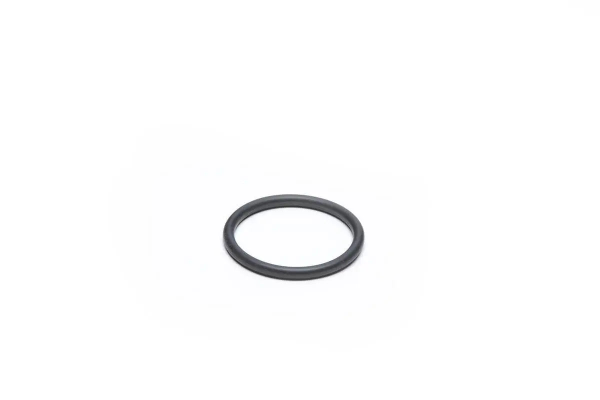 Strainer Pump Connector O - Ring - WaterTrendsStore - 9684