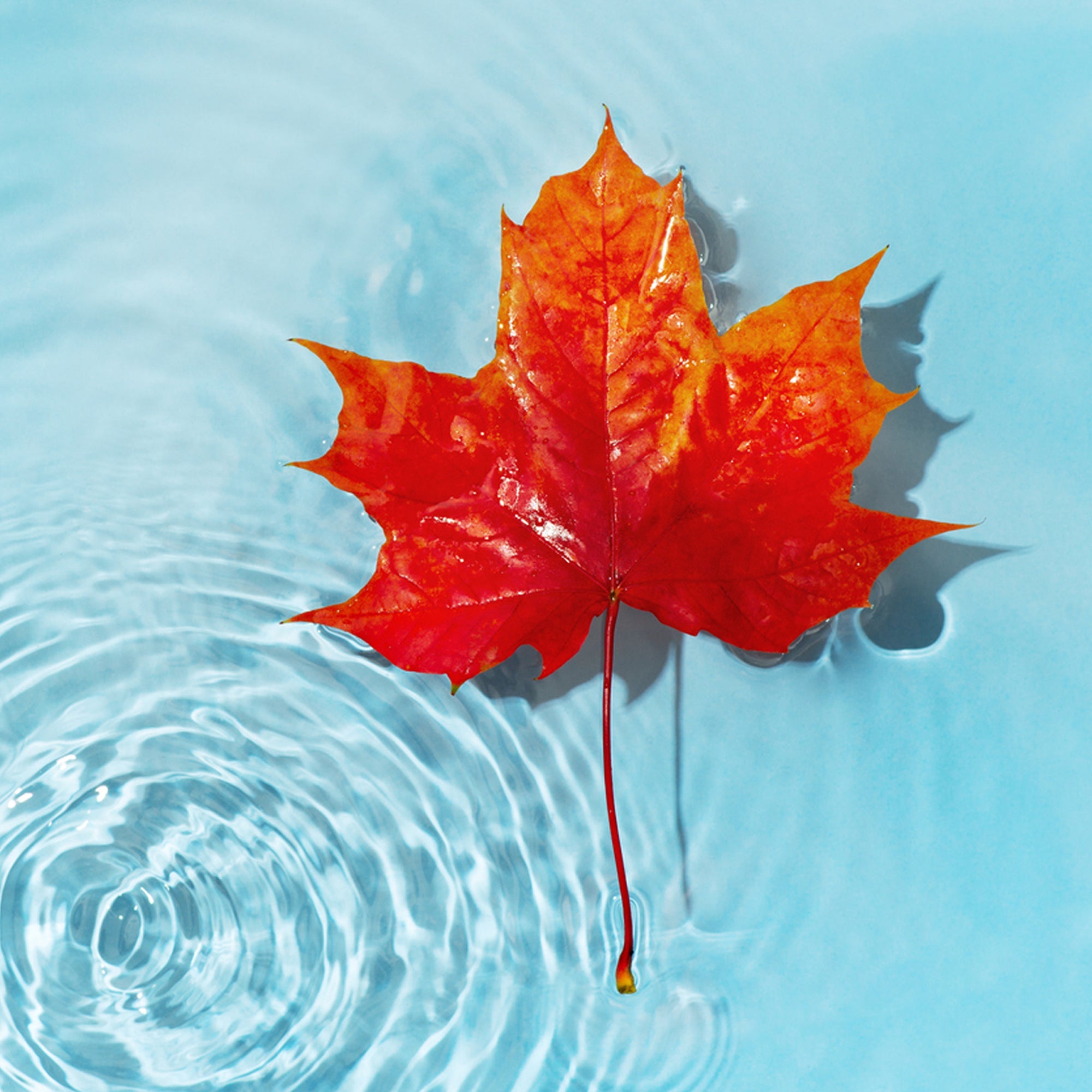 How to Close Your Pool for Winter