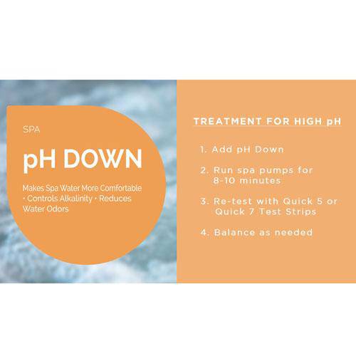 1 Quart of Water Trends Spa PH Down - The Great Escape