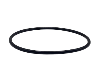 Hayward Chlorinator Cover O-Ring - WaterTrendsStore