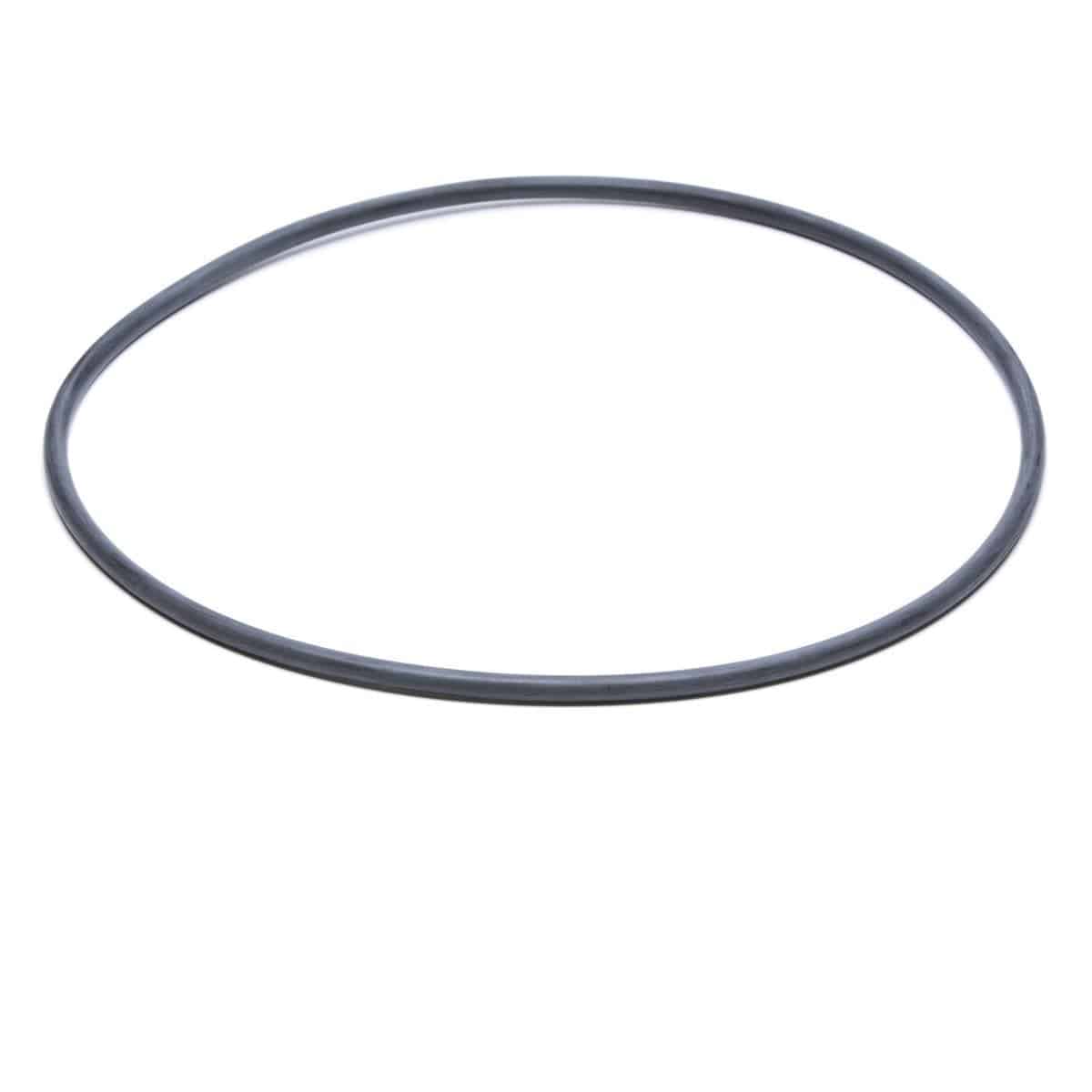 ASL Filter Body O-Ring - WaterTrendsStore