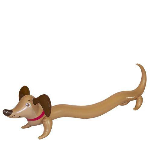 Doggy Doodle Inflatable Noodle - WaterTrendsStore