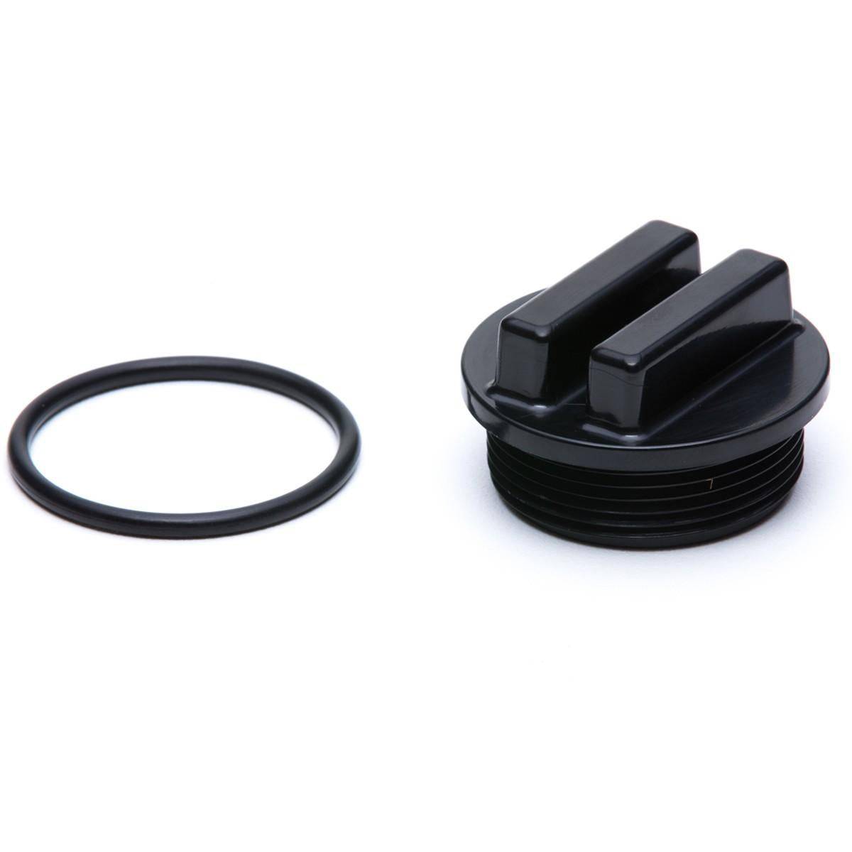 Hayward Plug W/ O-Ring - WaterTrendsStore