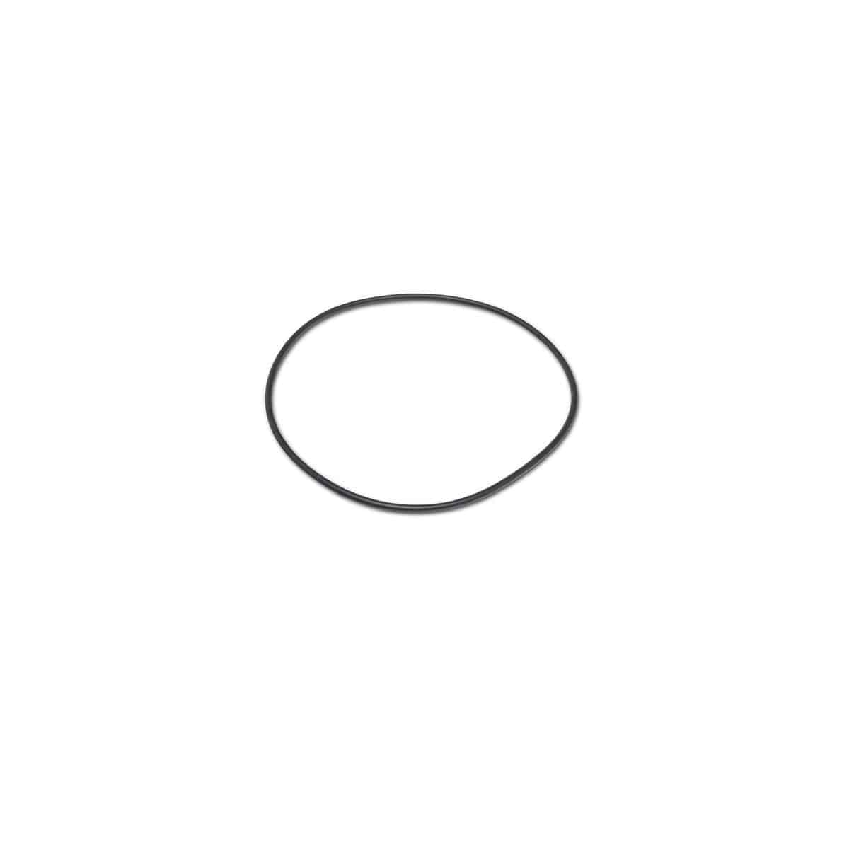 Matrix Pump Cover O-Ring - WaterTrendsStore