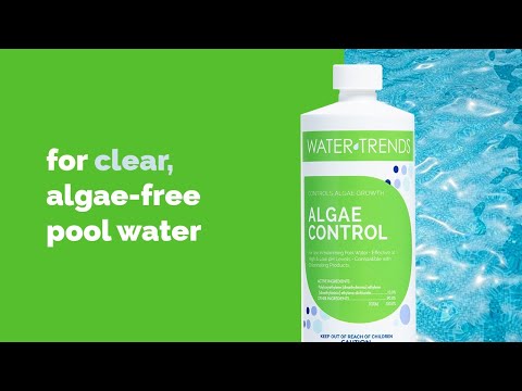 1 Quart Of WATER TRENDS 10% Algae Control