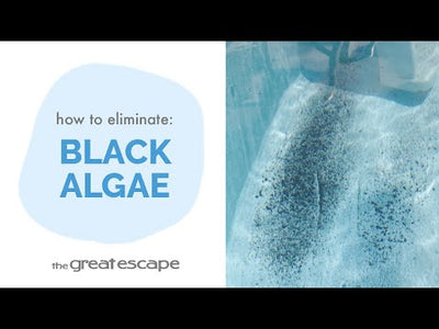 1 Quart Of WATER TRENDS 60% Algae Destroyer