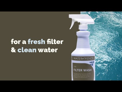 1 Quart Of WATER TRENDS Filter Wash