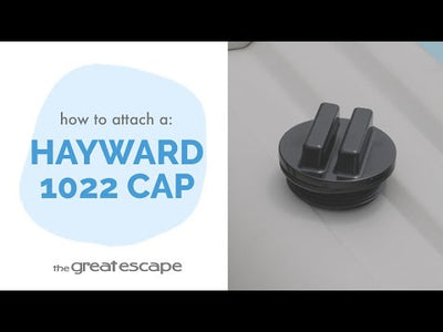 Hayward Plug W/ O-Ring