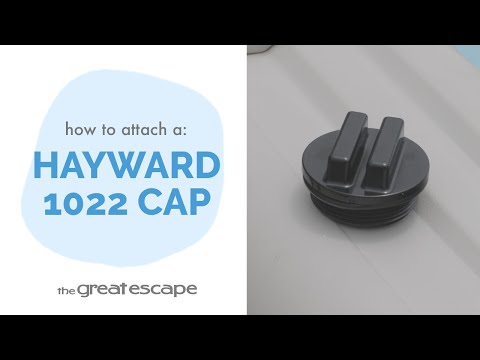 Hayward Plug W/ O-Ring