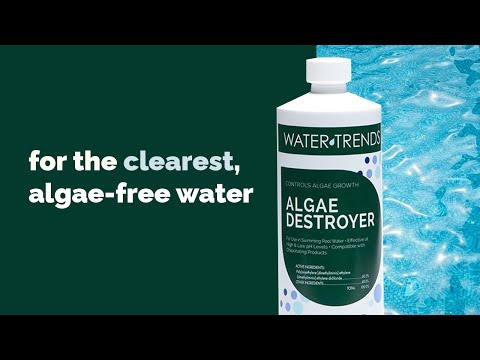 1 Quart Of WATER TRENDS 60% Algae Destroyer