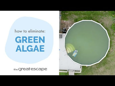 1 Quart Of WATER TRENDS 10% Algae Control