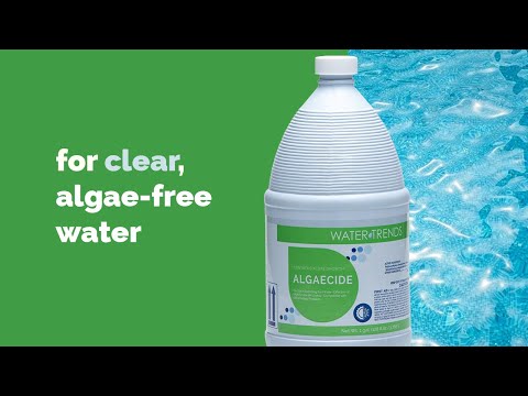 1 Gallon Of Non Foaming WATER TRENDS Algaecide 10%