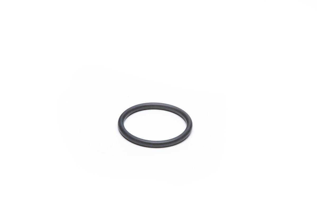 Strainer Pump Connector O-Ring - WaterTrendsStore