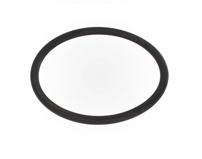 Vision Pro Cartridge O-Ring - WaterTrendsStore