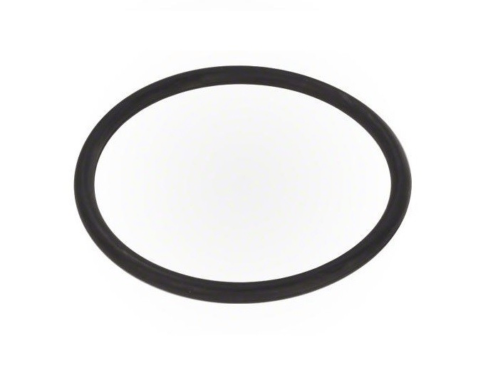 Vision Pro Z-Pack O-Ring - WaterTrendsStore