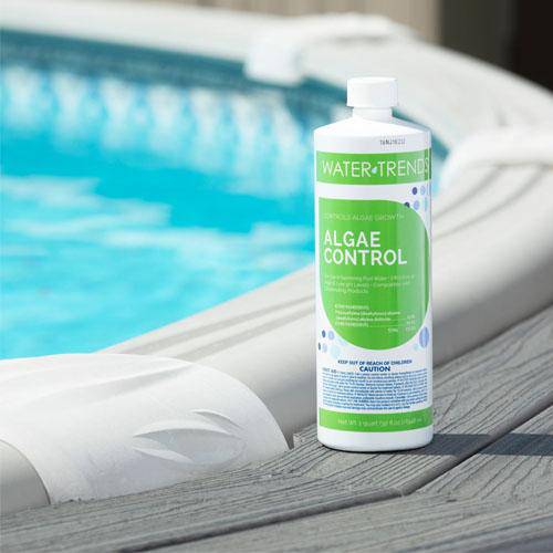 1 Quart Of Non Foaming WATER TRENDS Algae Control 10% - WaterTrendsStore - 502
