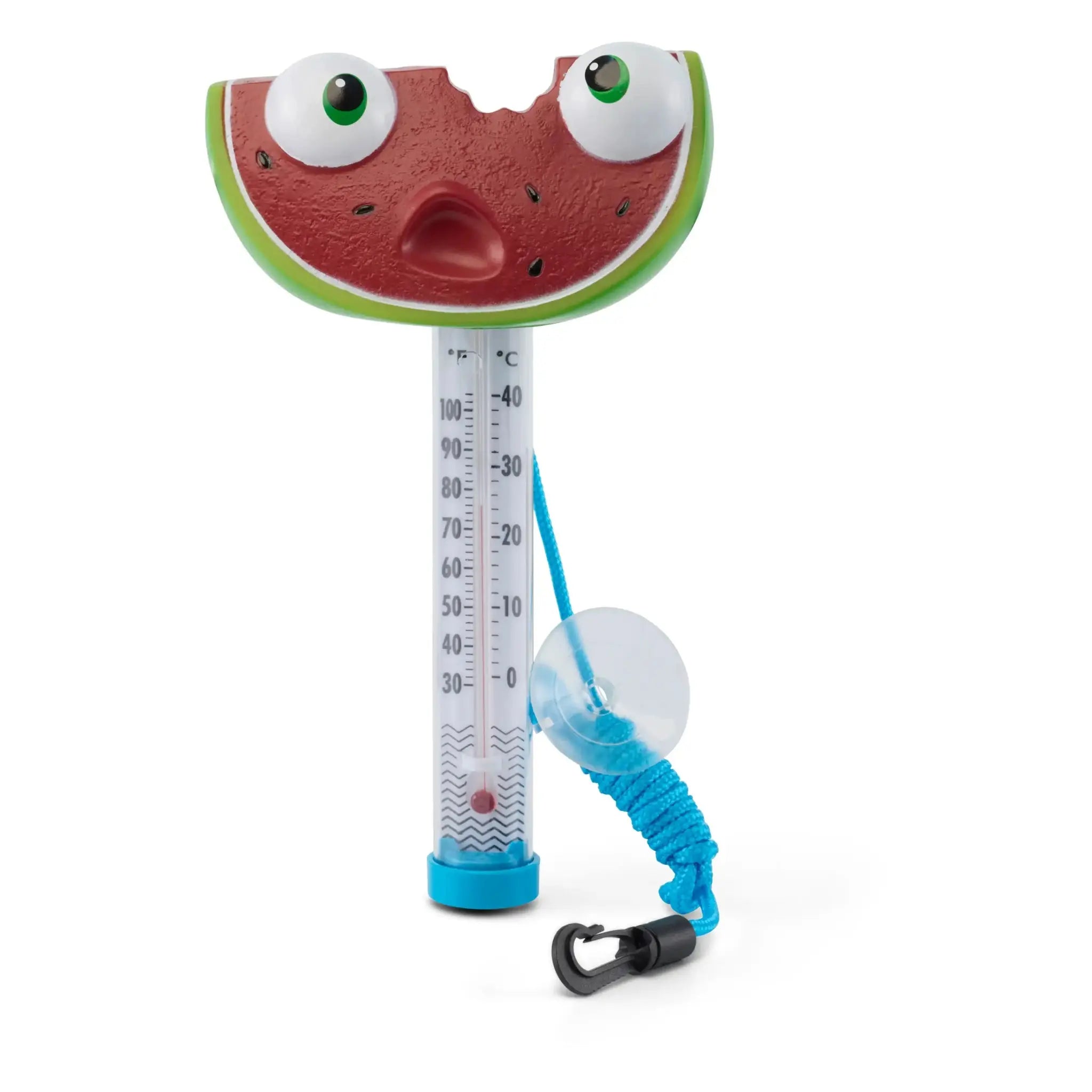 Assorted Tutti Frutti Thermometer - WaterTrendsStore - 3713