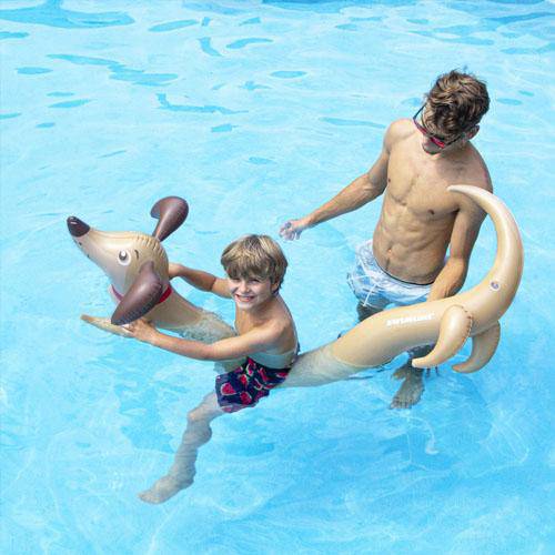 Doggy Doodle Inflatable Noodle - WaterTrendsStore - 4079