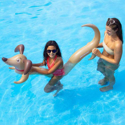 Doggy Doodle Inflatable Noodle - WaterTrendsStore - 4079