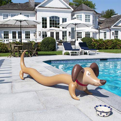 Doggy Doodle Inflatable Noodle - WaterTrendsStore - 4079