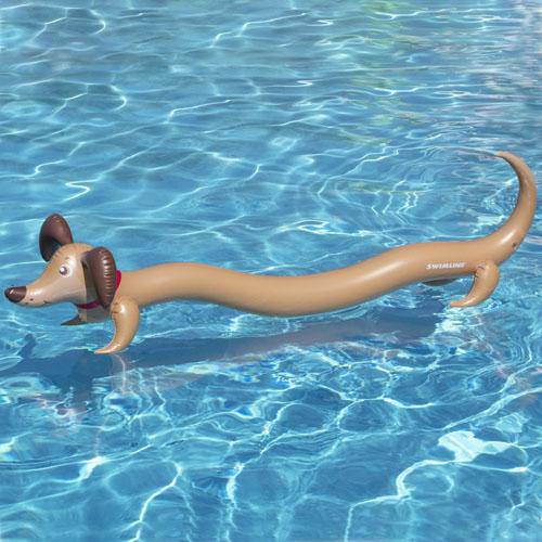Doggy Doodle Inflatable Noodle - WaterTrendsStore - 4079